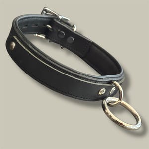 May include: Black leather collar with a silver-colored metal ring and buckle. The collar has a silver-colored stripe and rivets. The collar is designed with a padded interior for comfort.