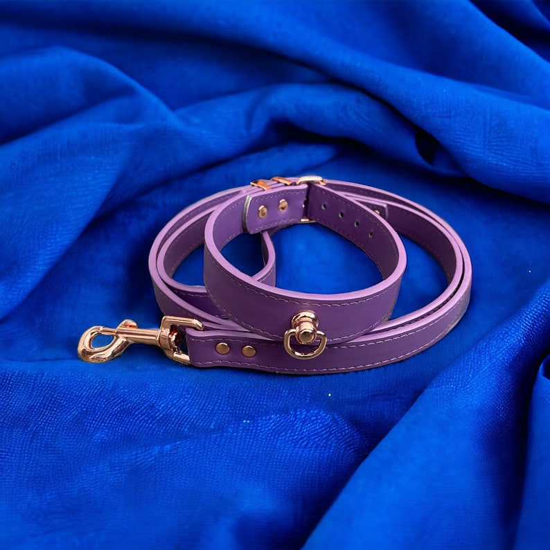 May include: A purple leather dog collar and leash set with gold hardware. The collar and leash are laying on a blue fabric background.