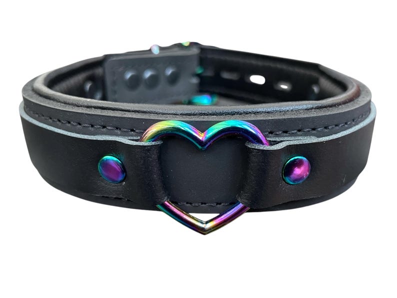 May include: Black leather choker with a rainbow heart-shaped metal accent.