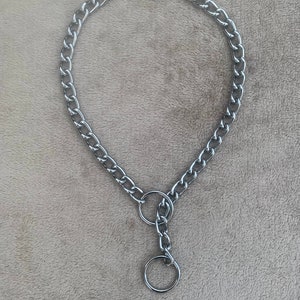 May include: A silver chain dog collar with a round metal ring attached.