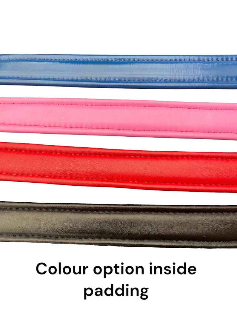 May include: Four leather straps in different colors: blue, pink, red, and black.  The text "Colour option inside padding" is below the straps.