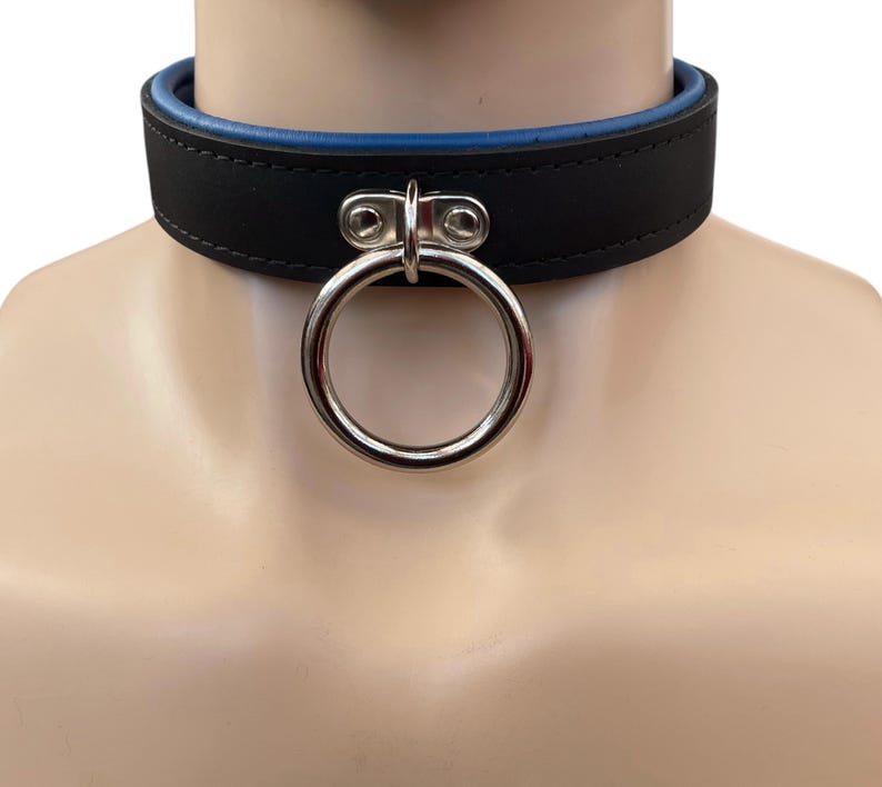 May include: A black leather choker with a blue inner lining and a silver ring. The ring has a small silver loop on top.