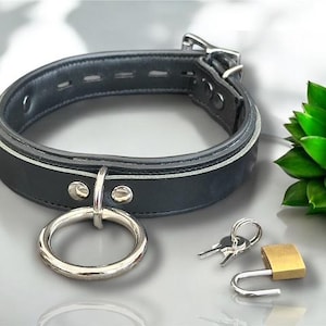May include: A black leather collar with a silver ring and buckle, accompanied by a small padlock and keys. The collar has a white trim and is set against a light background with a green succulent plant.