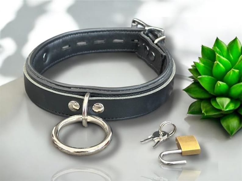 May include: A black leather collar with a silver ring and buckle, accompanied by a small padlock and keys. The collar has a white trim and is set against a light background with a green succulent plant.