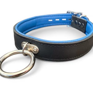 May include: A black leather collar with a blue lining and a silver ring attached. The collar has a buckle closure.