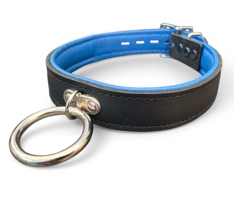 May include: A black leather collar with a blue lining and a silver ring attached. The collar has a buckle closure.