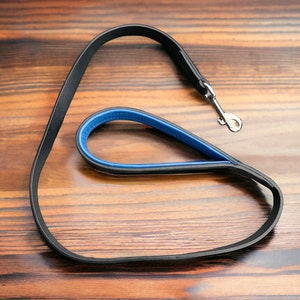 May include: A black leather dog lead with a blue leather accent and a silver clip.