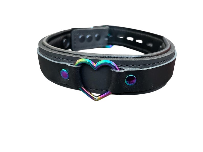 May include: Black leather choker with a rainbow heart-shaped metal ring.