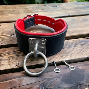 May include: A black leather collar with a red trim and a silver metal ring and hook. Two silver keys are also included.