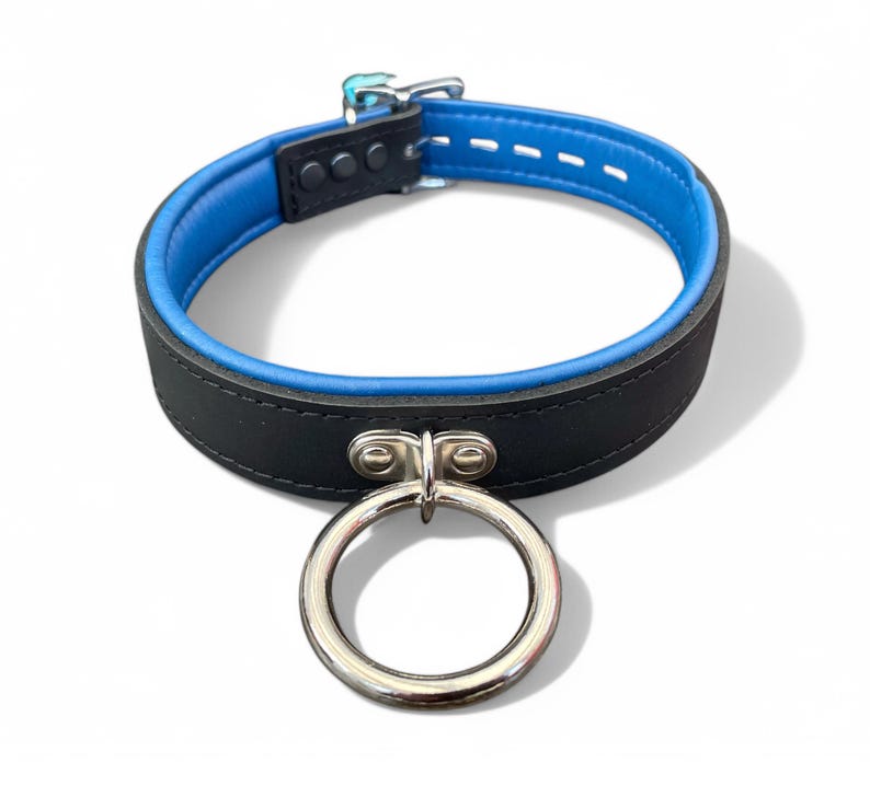 May include: Black leather collar with a blue lining and a silver ring attached.