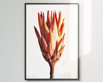 Vibrant colour botanical print, red-orange, minimalist printable art, modern floral decor, downloadable print #2