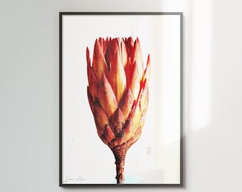 Vibrant orange-red colour botanical print, minimalist printable art, modern floral decor, downloadable print #1