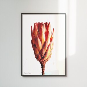 Vibrant orange-red colour botanical print, minimalist printable art, modern floral decor, downloadable print #1
