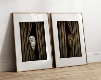 Dark Fine Art Print Set, Mysterious Owl Surreal Poster, Cinematic Bird Wall Decor, Modern Abstract Statement Artwork, Digital Download