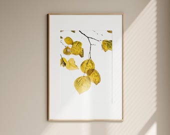 Impression botanique de feuilles jaunes : forêt d'automne minimaliste (téléchargement numérique)