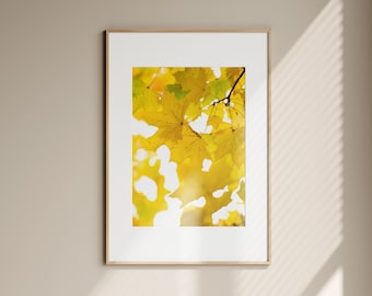 Photo de feuilles jaunes : impression botanique d'automne minimaliste (téléchargement numérique)