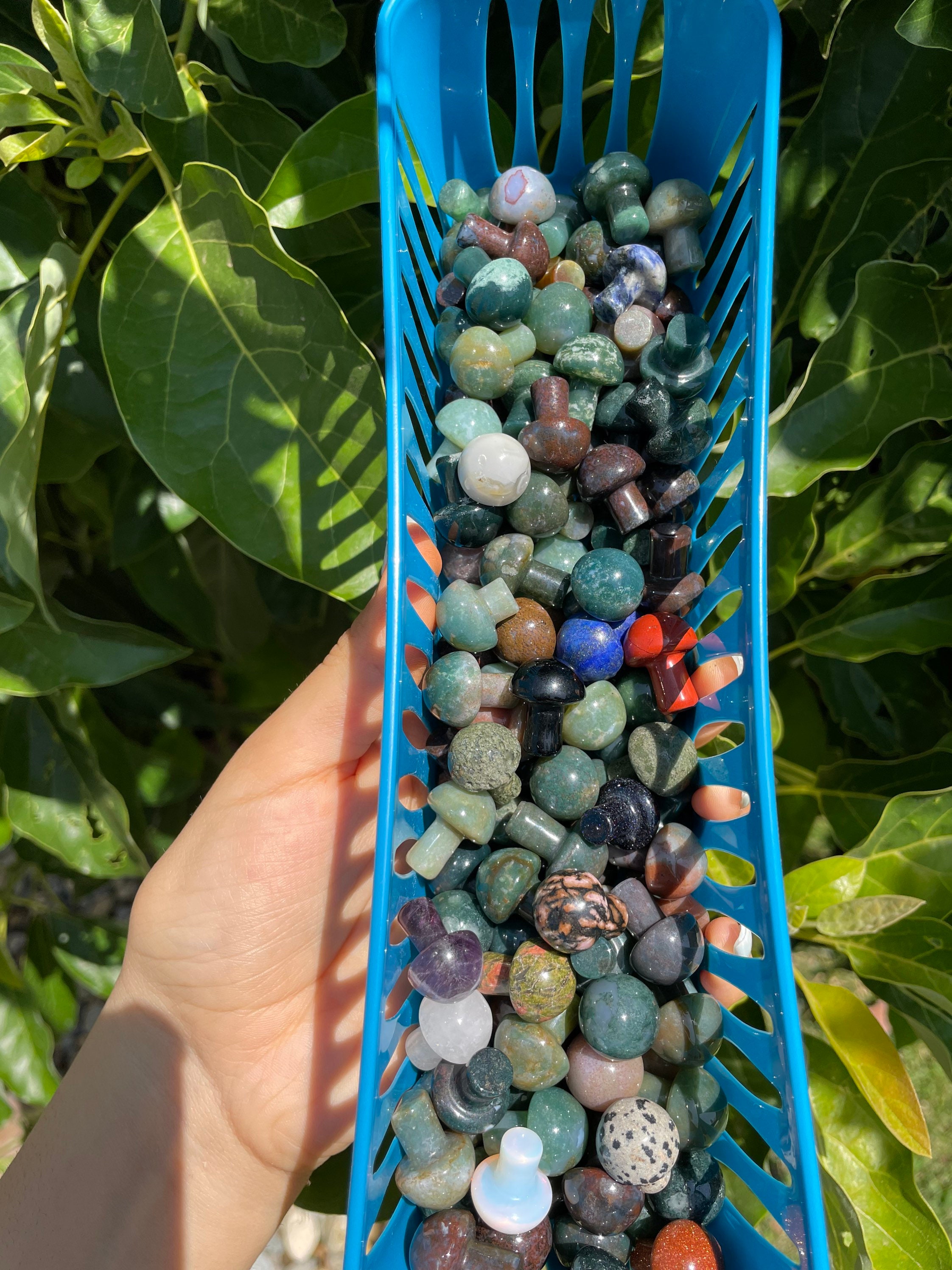 Surprise Crystal Mushroom