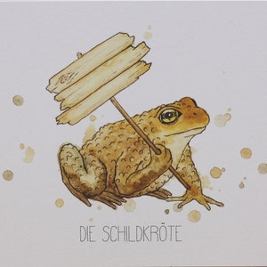 Art Print Tortue A5 Animal Print Carte-cadeau Photo