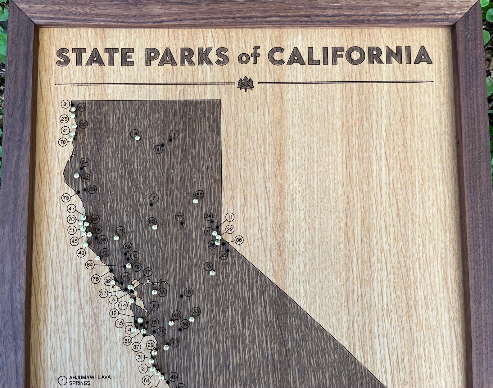California State Parks Push Pin Map Wooden Travel Tracker Map Etsy