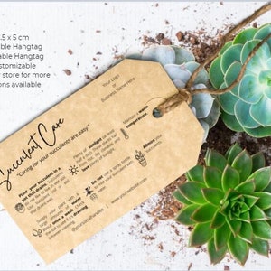Etiqueta colgante de cuidado de cactus/suculentas, plantilla interior de cactus de bricolaje, etiqueta de instrucciones de cuidado editable, etiqueta colgante de cuidado, etiqueta suculenta, cuidado general #0414