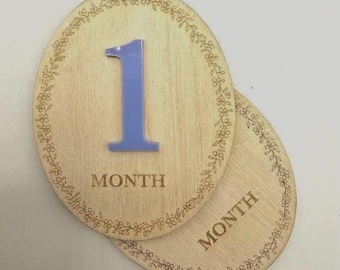 Floral Bow Milestone Discs