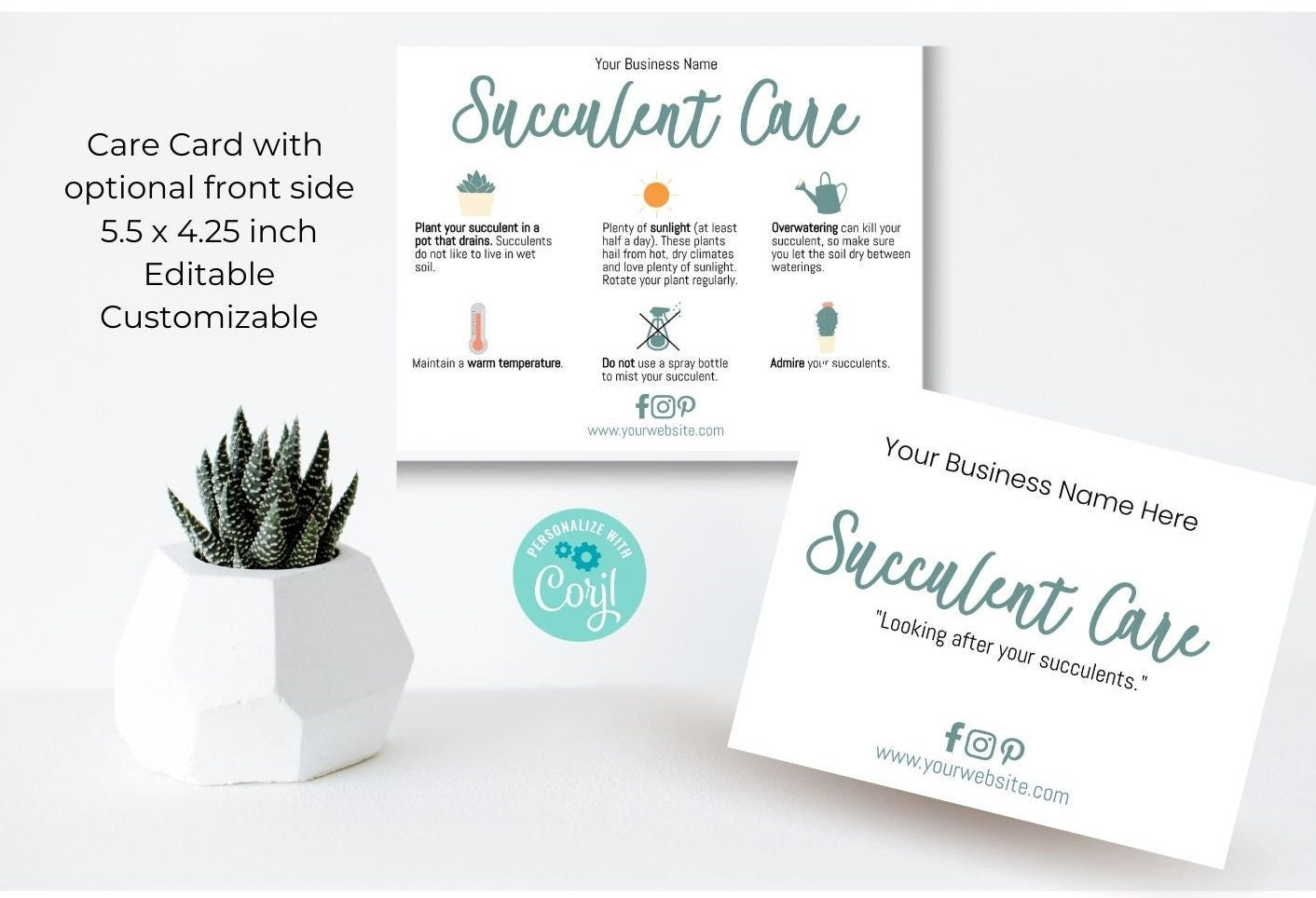 Succulant/Cacti Care Guide , DIY Template, Cactus Succulent Care Card,  Indoor Care Guide, Plant Care Instructions template, #0422