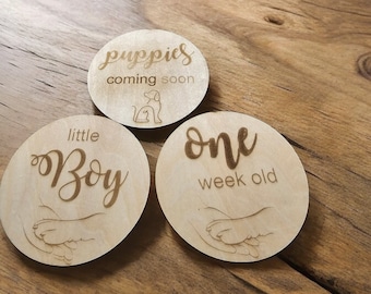 Puppy Age Milestone Discs - 15 Piece | Breeders Addition