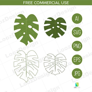 SVG Monstera Blatt, Vektor Monstera Blätter, Pflanze zum Drucken, Umriss Blatt Ai, EPS, PNG