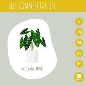 Alocasia Frydek, Tropical Houseplant - Alocasia Frydek Variegated, SVG, EPS, PNG and more!