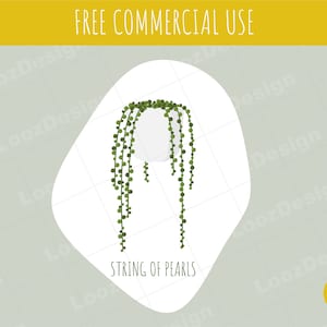 Vektor Perlenkette Pflanze, SVG, PNG und mehr!