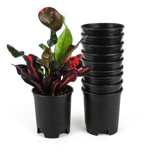 4 Inch Nursery Pot 10-Pack Plastic Planters for Outdoor Indoor Plants Gardening Flower Pots Pot Liners 0.25 Gallon with Drainage Holes