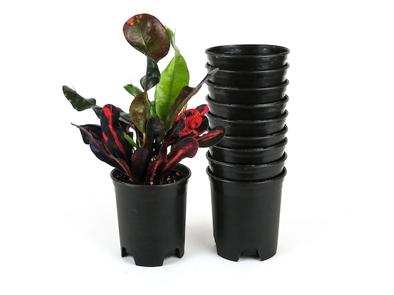 4 Inch Nursery Pot 10-pack Plastic Planters for Outdoor Indoor Plants  Gardening Flower Pots Pot Liners 0.25 Gallon With Drainage Holes - Etsy