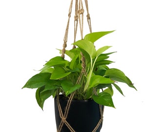 Handmade Jute Macrame Plant Hanger with Self Watering Planter Pot Boho Home Décor