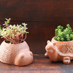 May include: Two terracotta turtle planters with green succulents. The turtle planters have a white geometric design.