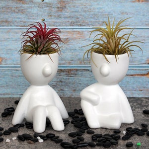 May include: Two white ceramic planters shaped like people, each with a different type of air plant growing inside. The planters are sitting on a gray surface with black pebbles.