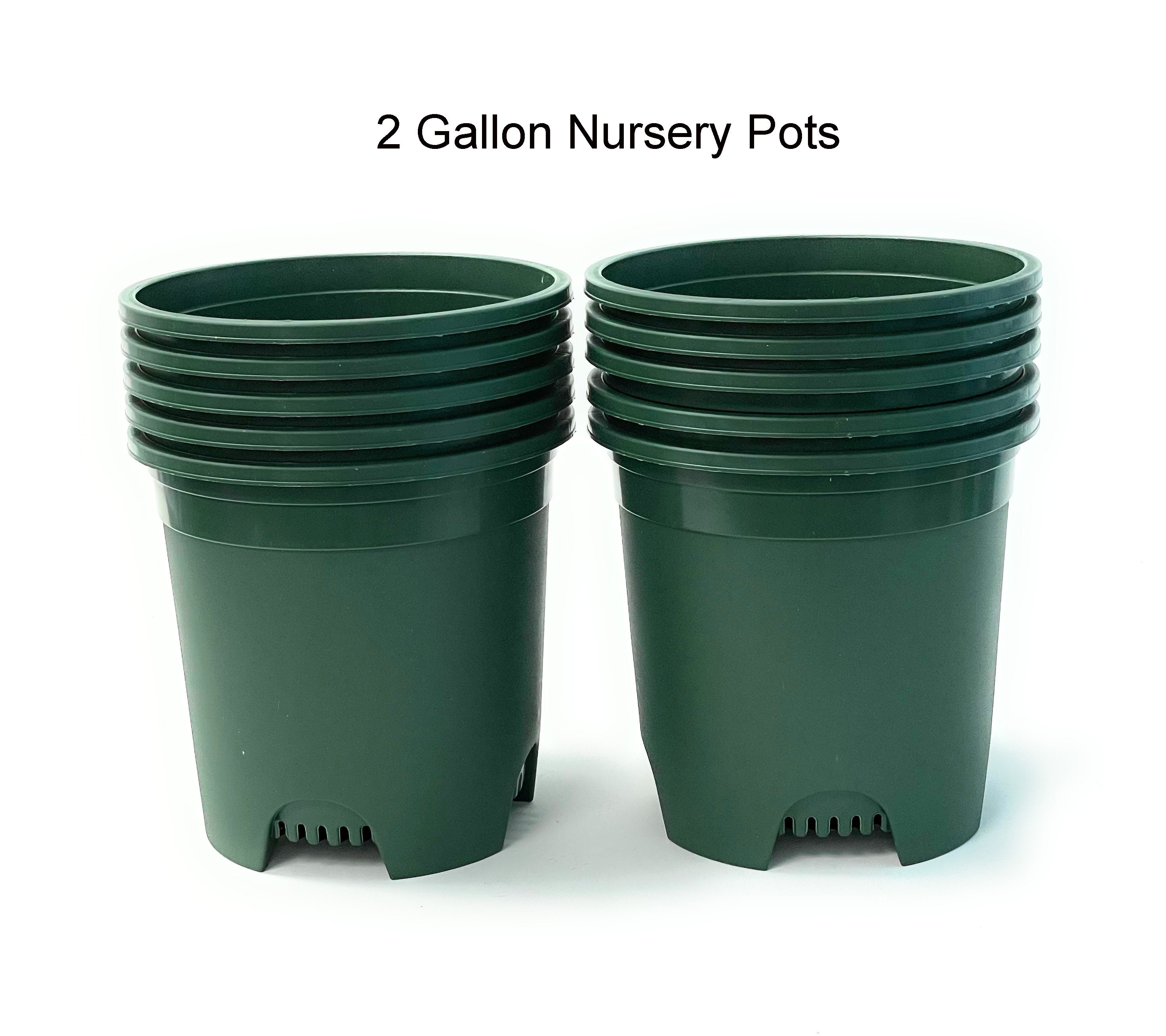 Outdoor Plastic Nursery Pot 10 Pack Pots 2 Gallon Flower Plant Garden Planter 