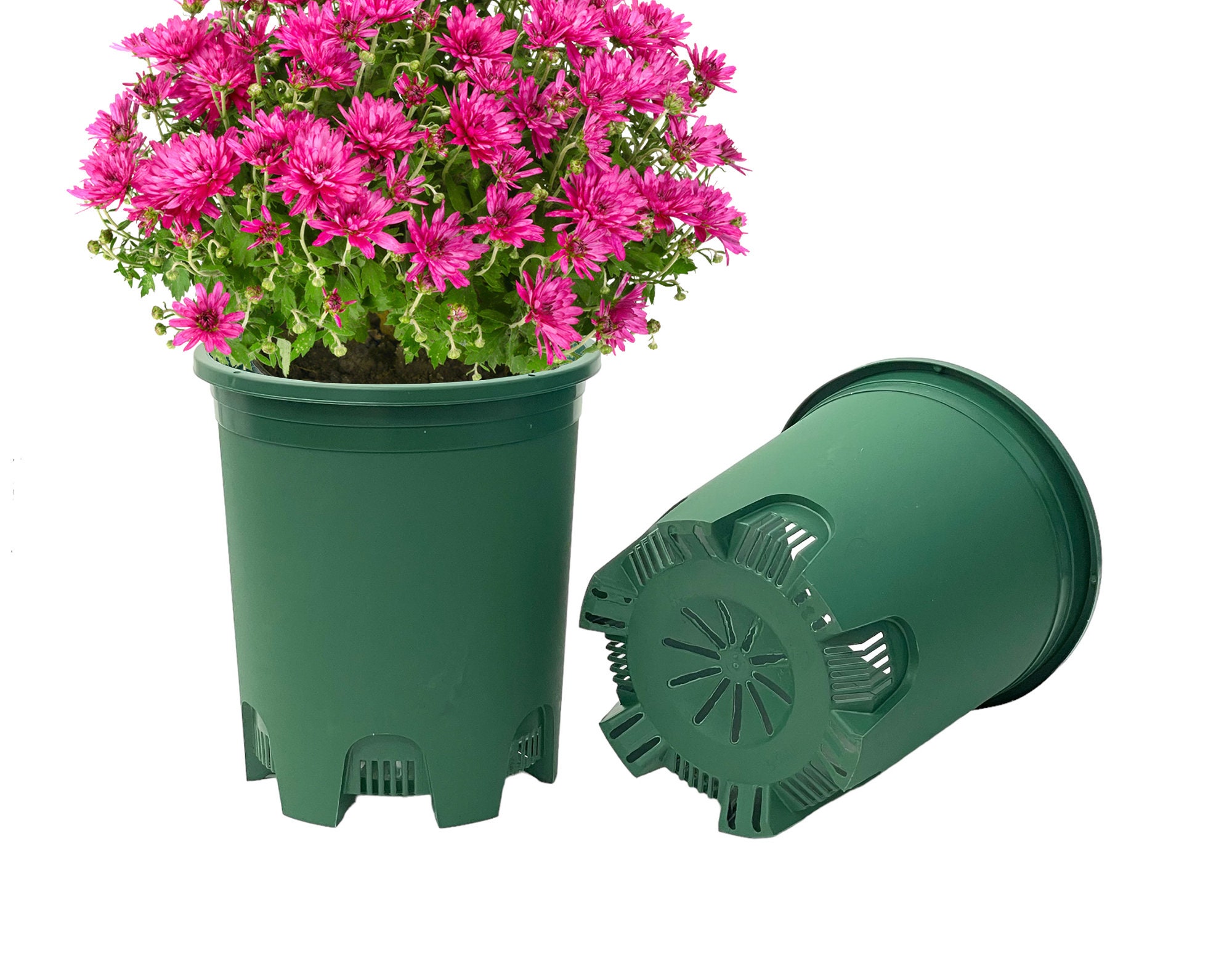 grow tent 4 plants VIVOSUN Smart Grow Tent Kit - 2 Plant G4