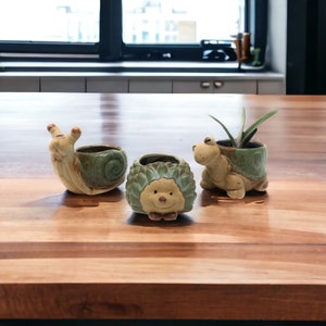 Ceramic Animal Planter for Succulent Plants, 3 Pc Set Turtle Snail Hedgehog Pots for Small House Plants