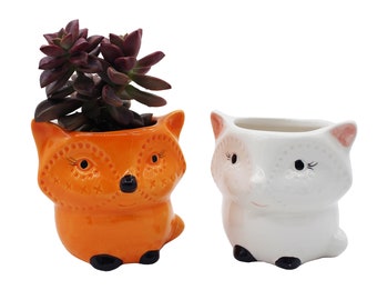 Op de afbeelding: Twee keramische potten in de vorm van vossen, een oranje en een wit, met zwarte ogen en neuzen. De oranje pot heeft een vetplant erin.