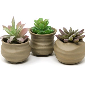 Succulent Cacti Planter Pot 3pc Set Natural Clay Organic Shape