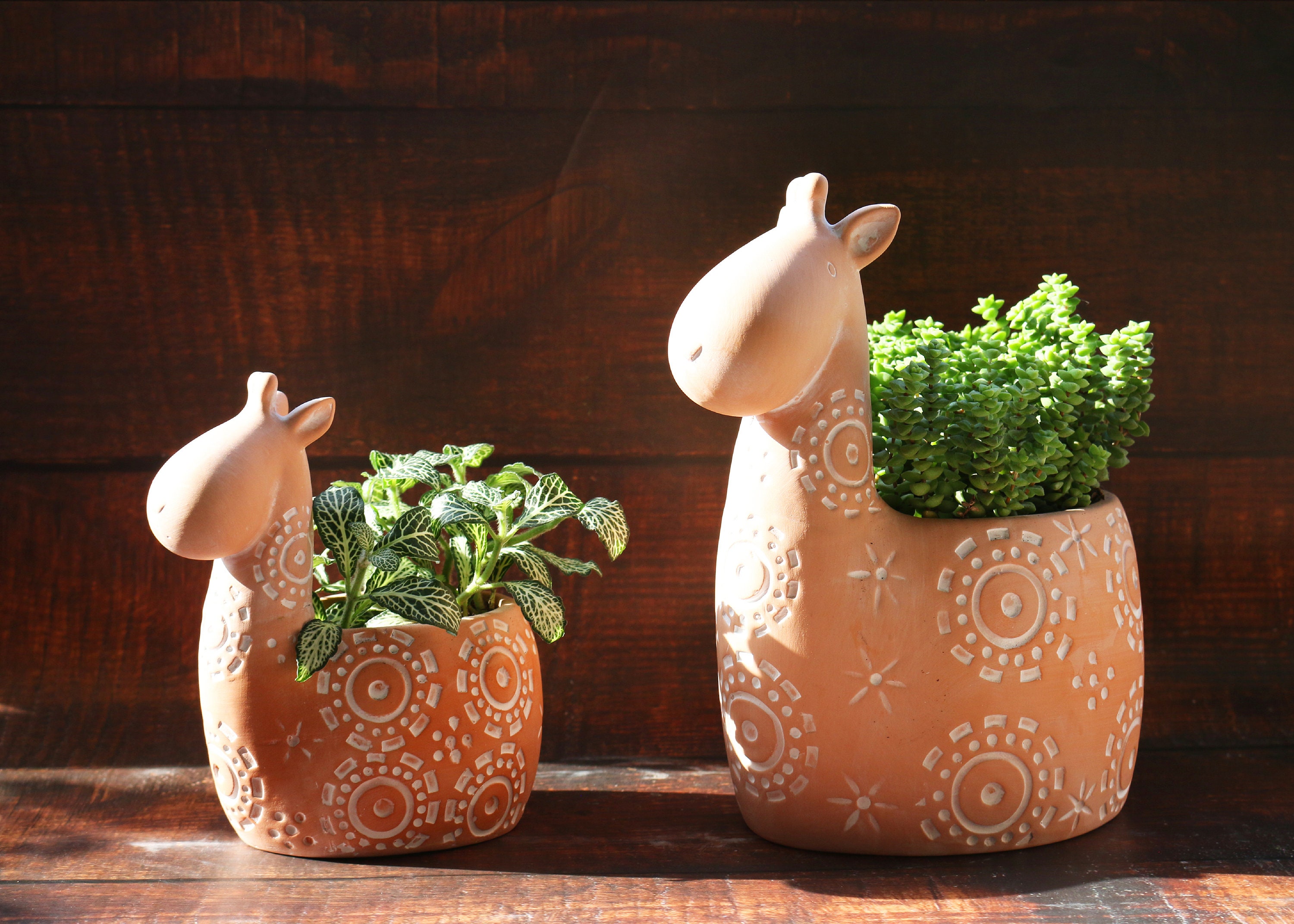 Plant&pot Outdoor Planters Mix - Brown & Amber Ceramic Succulent Pot - Set  of Four - Yahoo Shopping