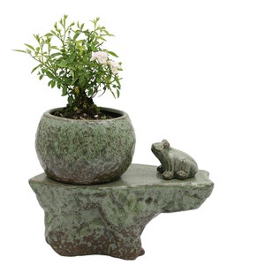 Self-watering Pot Set With Plant Buddy Frog Figurine and Cotton Wick Cord, Patina Glaze Ceramic Planter image 1