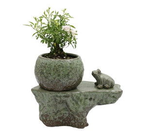 Self-watering Pot Set With Plant Buddy Frog Figurine and Cotton Wick Cord, Patina Glaze Ceramic Planter