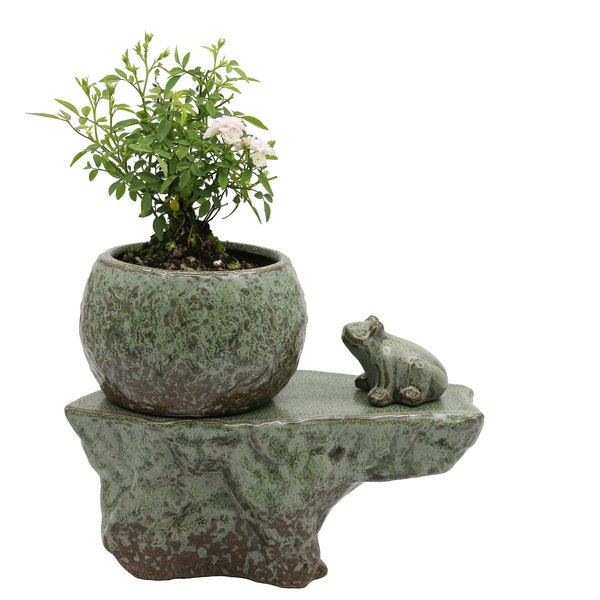 Self-watering Pot Set With Plant Buddy Frog Turtle Goose Figurine and Wick Cord, Patina Glaze Ceramic Planter