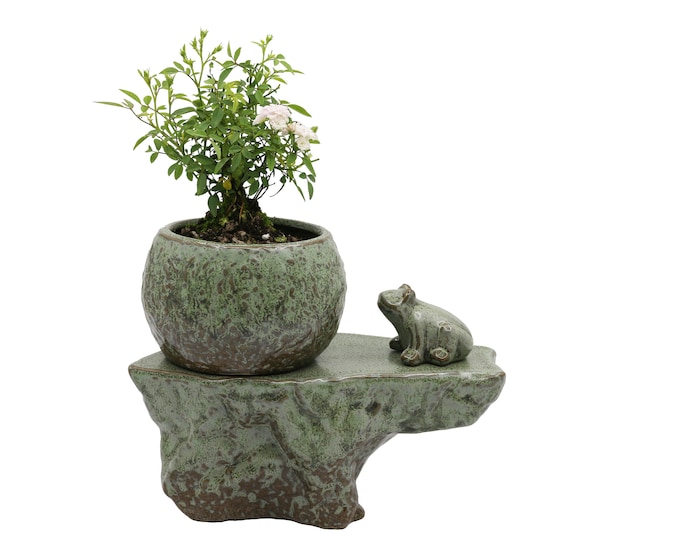 Self-watering Pot Set With Plant Buddy Frog Turtle Goose Figurine and Wick Cord, Patina Glaze Ceramic Planter