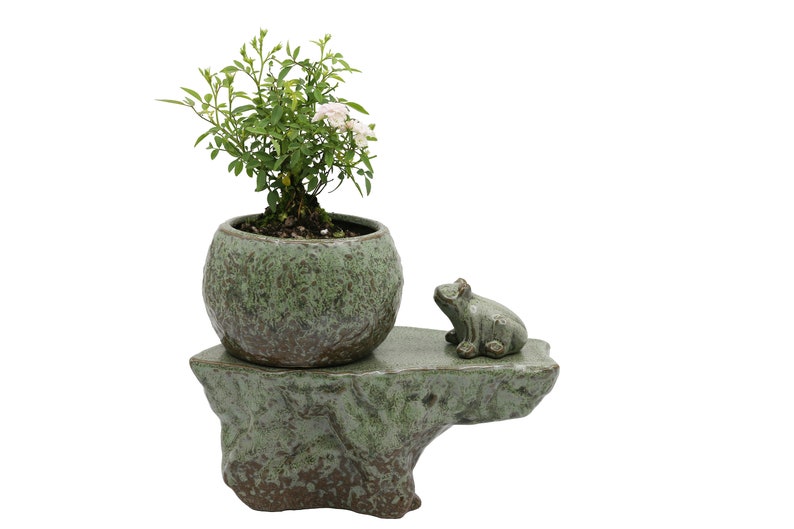 Self-watering Pot Set With Plant Buddy Frog Figurine and Cotton Wick Cord, Patina Glaze Ceramic Planter image 1