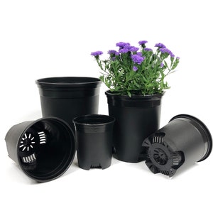 May include: A set of four black plastic plant pots of varying sizes. The largest pot has a purple flowering plant inside. The pots have drainage holes and are ideal for growing plants.