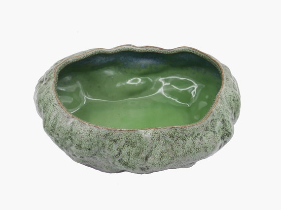 Happyyami Pot Céramique Pour Plantes Succulentes Vintage