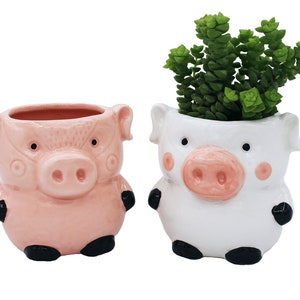 Cute Pig Planter Kitchen Pig Decor 2 Pack Ceramic Succulent Flower Pots with Drainage Hole, Office Décor