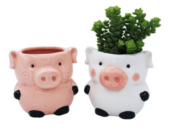 Cute Pig Planter Kitchen Pig Decor 2 Pack Ceramic Succulent Flower Pots with Drainage Hole, Office Décor